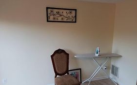 1 Bedroom Basement Apartment